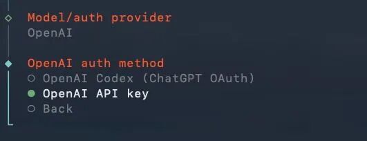 GPT-5.4发布24小时，OpenClaw🦞最新配置教程！